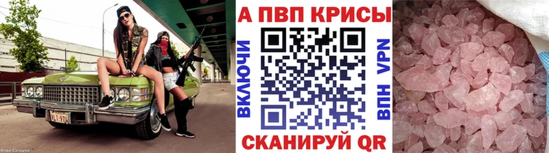 Альфа ПВП СК КРИС  Тихвин 
