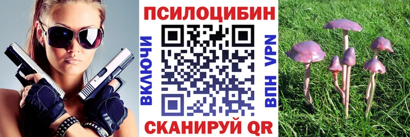 Псилоцибиновые грибы Psilocybine cubensis  Тихвин 